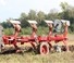 Pługi Unia Ibis L H 4+