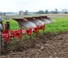 Pługi Unia Ibis L plus 4+