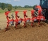 Pługi Unia Ibis XM plus 4+1