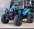 can-am RENEGADE X XC 1000T