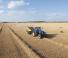 Prasa kostkująca New Holland BB 1290 R