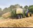 Prasa kostkująca Krone Big Pack 870 HDP XC