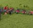 Przetrząsacze karuzelowe Massey Ferguson TD1028X TRC