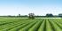 Opryskiwacze zaczepiane John Deere M740