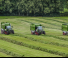 Przyczepy silosowe Fendt Tigo 60 MR 