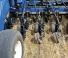 New Holland P2080 - 30 ft