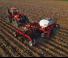 Siewniki Case IH Precision Disk 550T 30