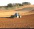 Siewniki Regent Seedstar RSM G 312 DS