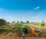 Spulchniacze Amazone Cenius 4003-2 Super