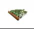 Spulchniacze Amazone Cenius 4003-2TX Special