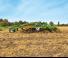 Spulchniacze Amazone Cenius 4003-2TX Super