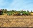 Spulchniacze Amazone Cenius 4003-2TX Super