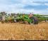 Spulchniacze Amazone Cenius 5003-2 TX Super