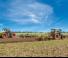 Spulchniacze Amazone Cenius 7003-2 TX Special