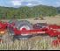 Horsch Terrano 4 MT