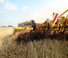 Spulchniacze Agrisem Vibromulch 5.00