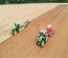 Traktory z napędem 4WD John Deere 6R 195