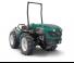 Goldoni E 80 