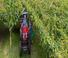 Traktory z napędem 4WD Valtra F75S