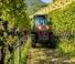 Traktory z napędem 4WD Valtra F85S