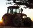 Case IH Farmall 80