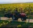 Traktory z napędem 4WD Massey Ferguson MF 1520 