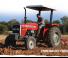 Massey Ferguson MF 350 Xtra