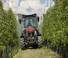 Traktory z napędem 4WD Massey Ferguson MF 3FR.85 