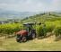 Traktory z napędem 4WD Massey Ferguson MF 3VI.75 