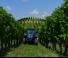 Traktory z napędem 4WD Landini Rex 3-080F