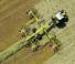 Zgrabiarki rotorowe Claas Liner 4700 Business