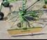 Zgrabiarki rotorowe Krone Swadro 42