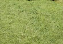Traktory z napędem 4WD DEUTZ-FAHR Agroplus 410 Ecoline DT