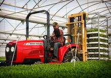 Traktory z napędem 4WD Massey Ferguson MF 1529 MA