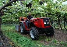 Traktory z napędem 4WD Massey Ferguson MF 3435-4 V