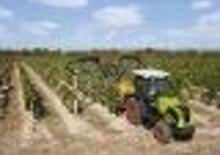 Traktory z napędem 4WD Claas Nexos 210 F
