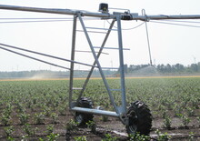 Belki do opryskiwaczy polowych Bauer Irrigation Centerstar 219EL