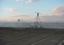 Belki do opryskiwaczy polowych Ocmis Spray boom 26 mt.