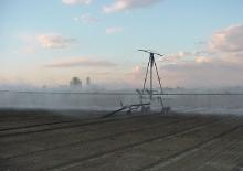Belki do opryskiwaczy polowych Ocmis Spray boom 44 mt.