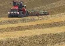 Ciągniki na gąsienicach gumowych Case IH Steiger Quadrac 450
