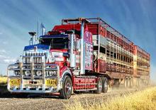 Ciągniki siodłowe Kenworth T909 36” Mid roof X15 6x4