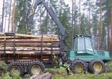 Forwardery Timberjack 1110