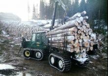 Forwardery Timberjack 1710