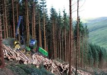 Kombajny John Deere 1270 E IT4