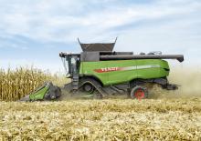 Heder do zbioru kukurydzy Fendt CornFlow 6Reihen 75cm