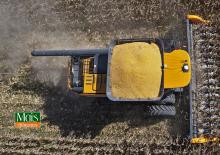 Heder do zbioru kukurydzy Valtra PM518