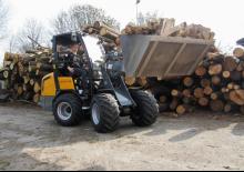Ładowarki kołowe Giant V 452 T HD