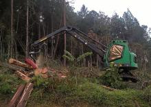 Kombajny Neuson Forest 183HVT