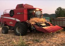 Kombajny zbożowe Laverda 296 LCS LS