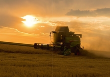 Kombajny zbożowe Fendt 5255 L-MCS 